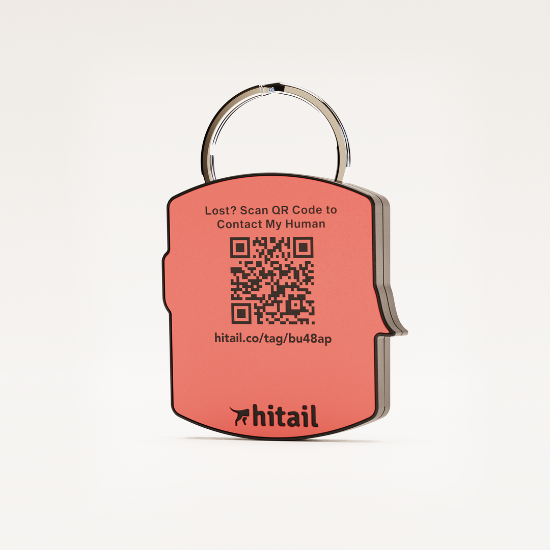 国内で当店のみ HUNI - Dog Tag B 47074_1_expand.jpg