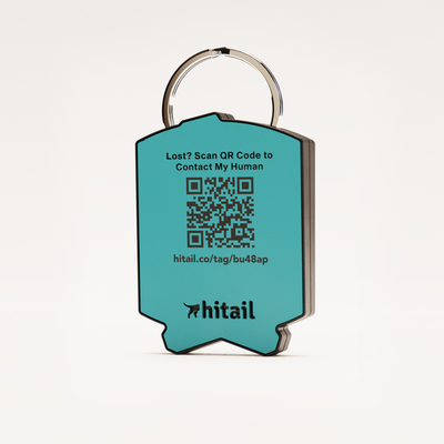 Free Camper QR Dog ID Tag