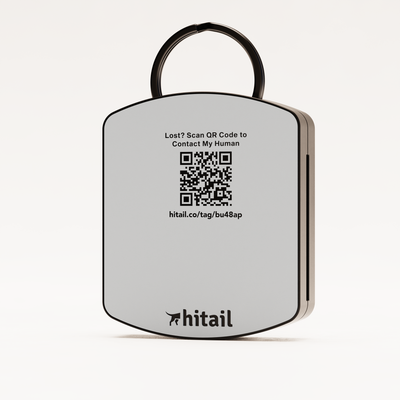 Free Signature AirTag QR Dog ID Tag