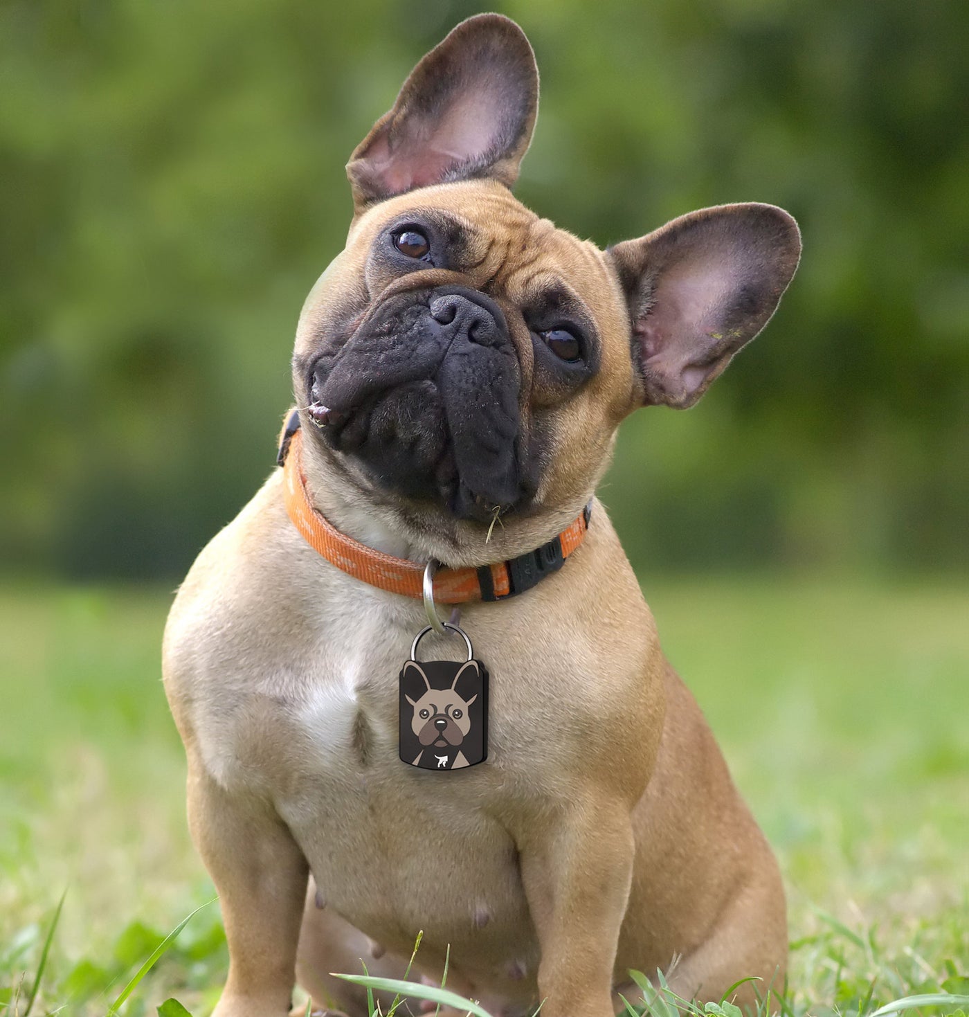 Free French Bulldog QR Dog ID Tag