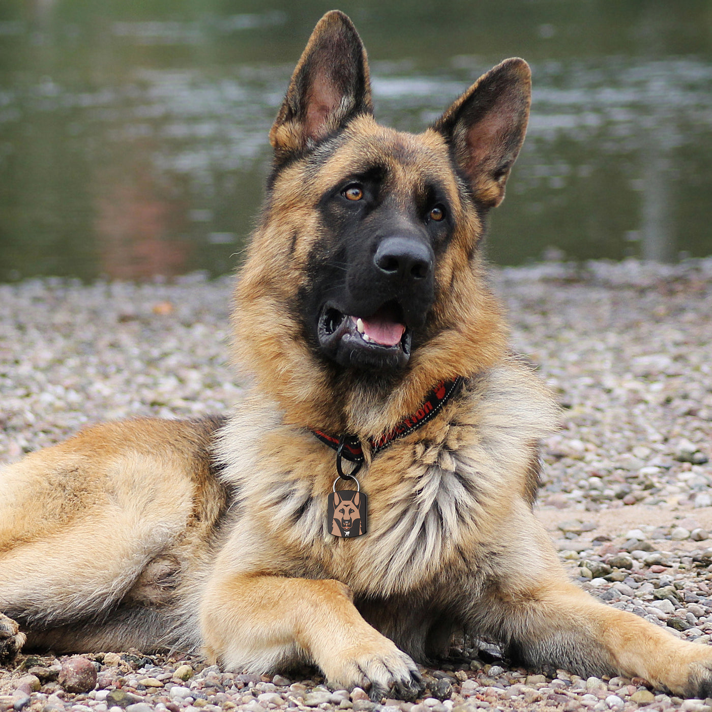 #style_german-shepherd