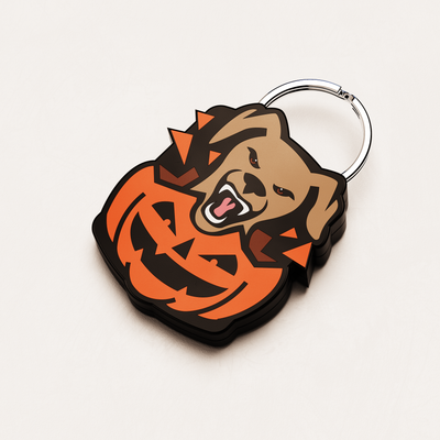 🎃 Halloween Pumpkin QR Dog ID Tag