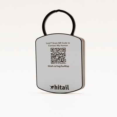 Signature QR Dog ID Tag