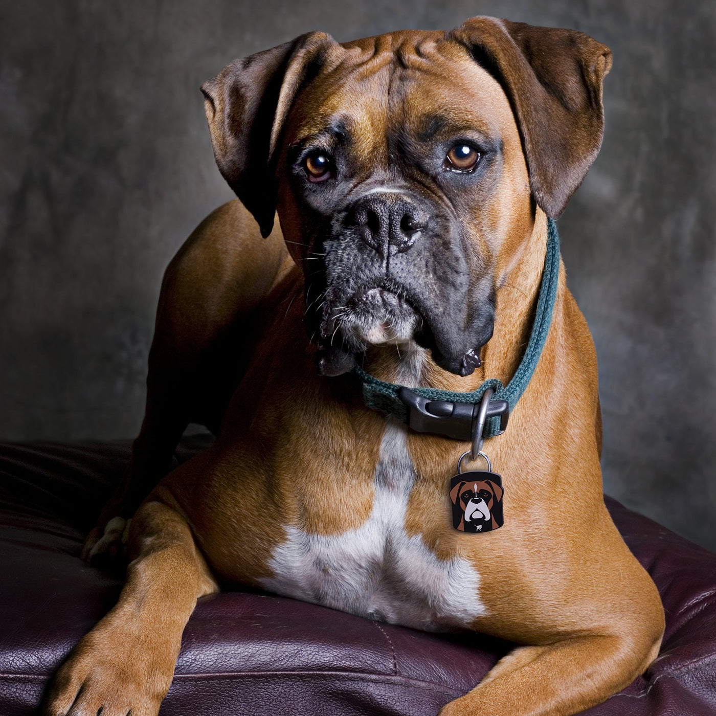 Free Boxer QR Dog ID Tag