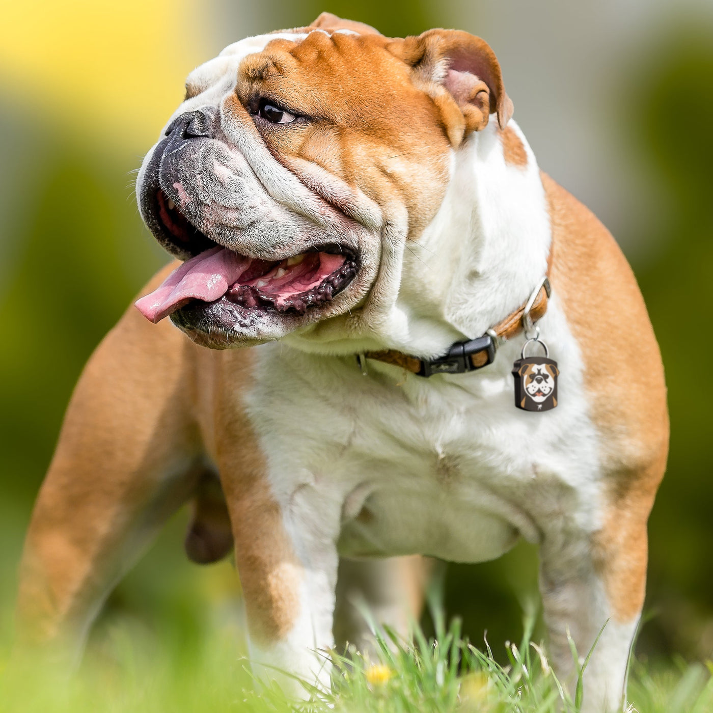 Free Bulldog QR Dog ID Tag