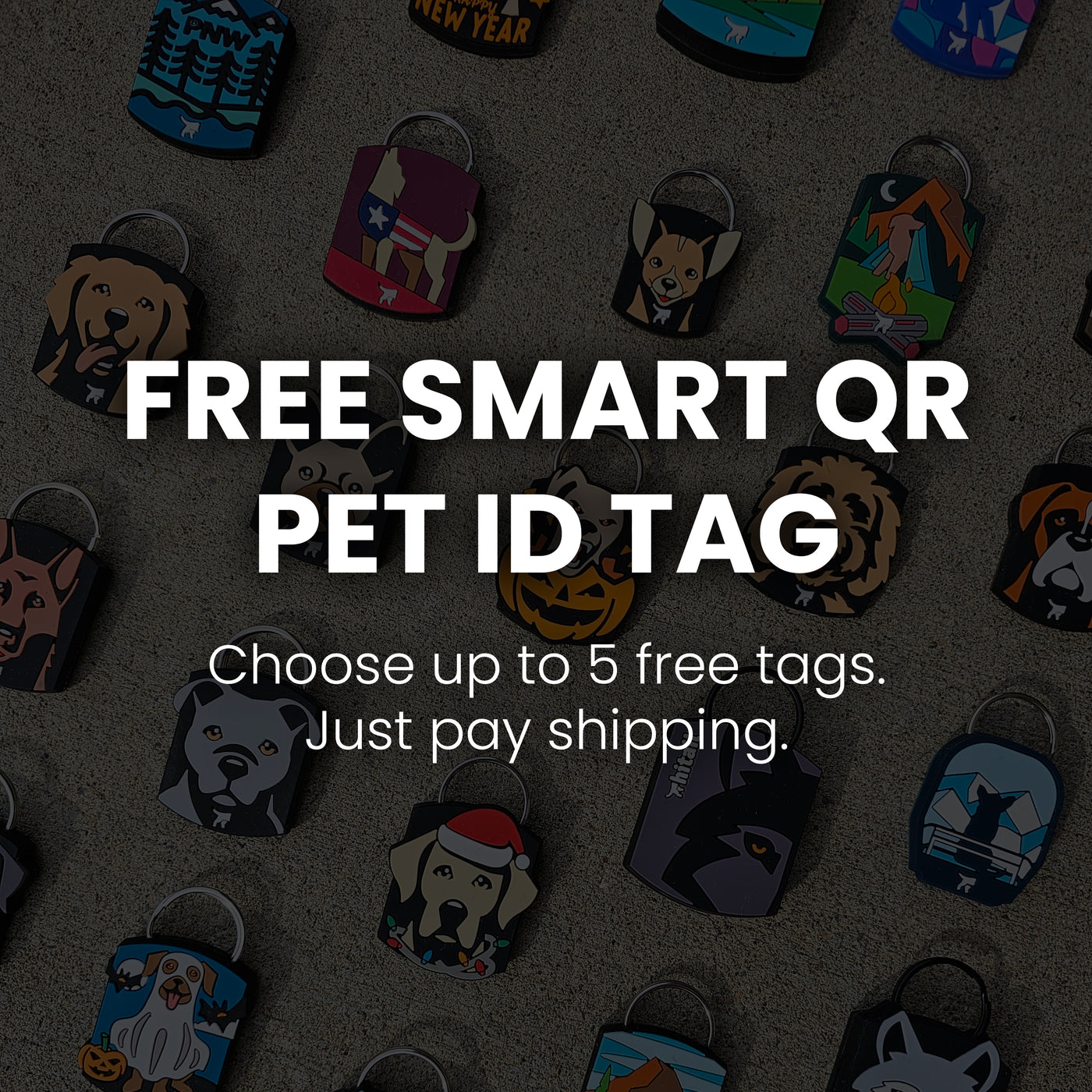 Free Hitail QR Dog ID Tags