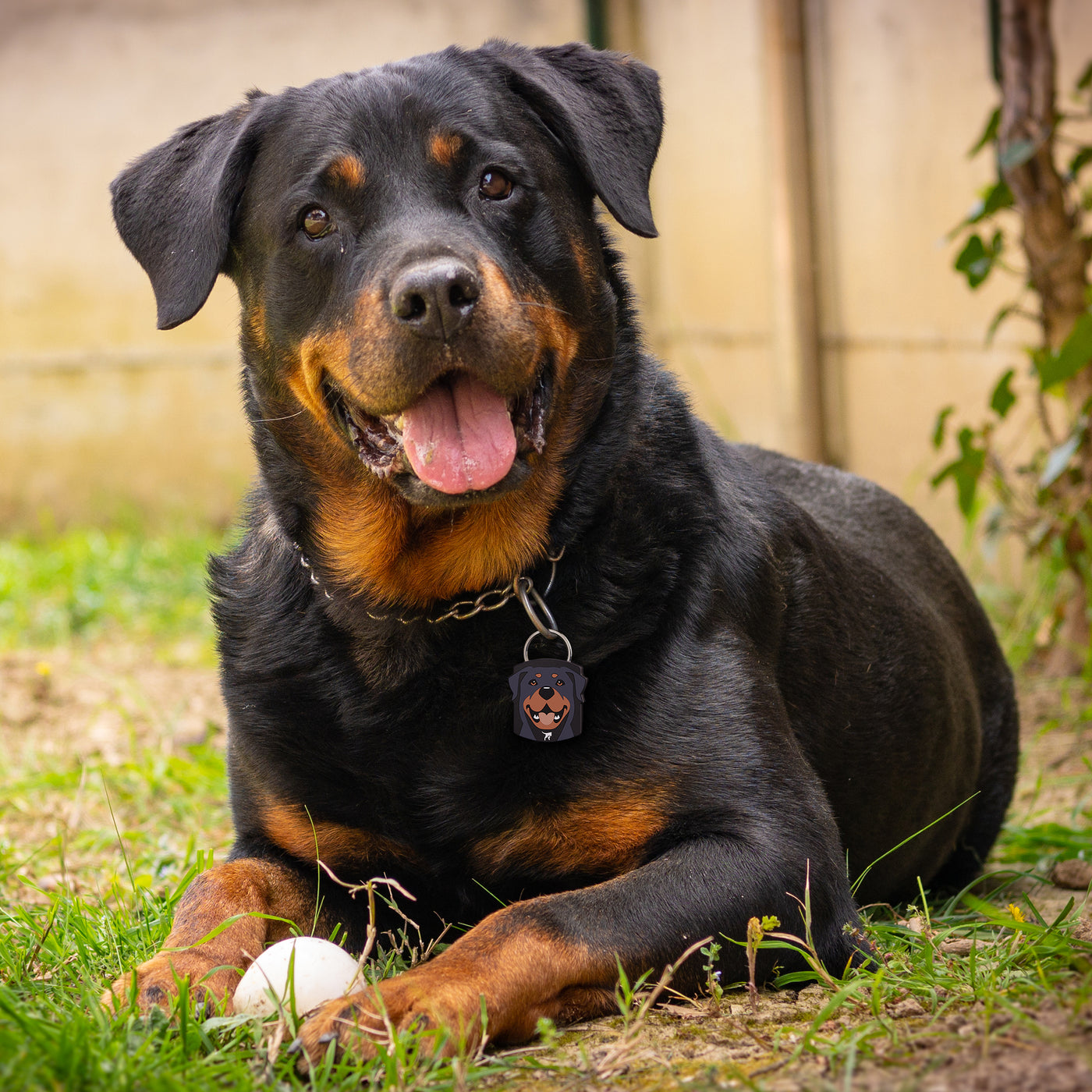 Rottweiler QR Dog ID Tag